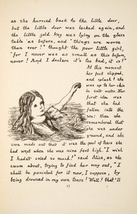Alice tombe dans la Mare de larmes, illustration des Aventures d